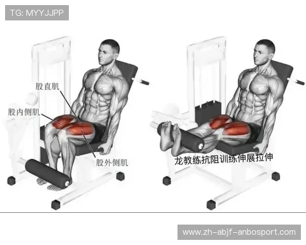 常见健身器材的运动方法详解与动作标准视频